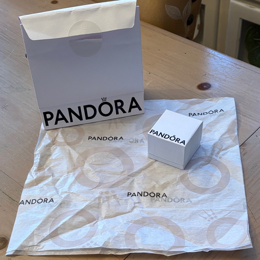 Pandora Jewelry Gift Bag and Box